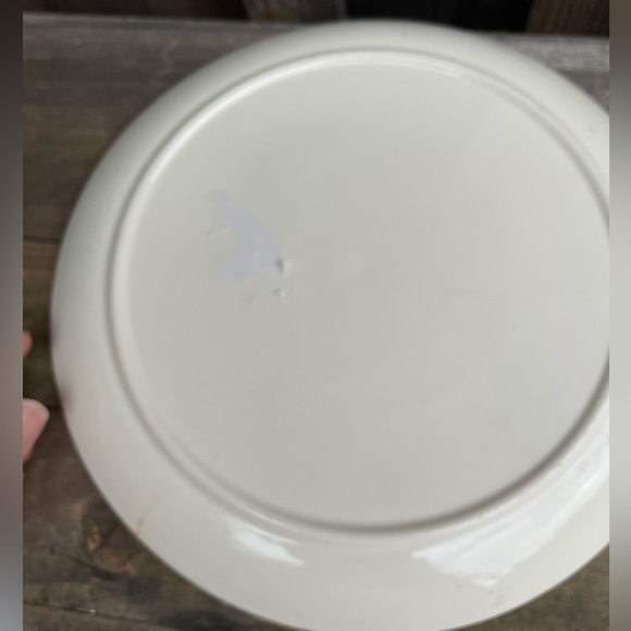 Vintage Hawaiian Aloha Plate - Picture 5 of 6